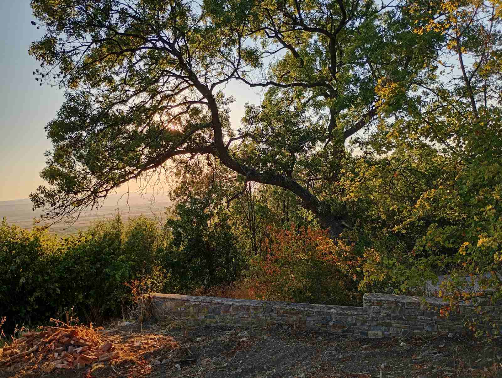 Land Plot | Kosharitsa — Land For Sale in Kosharitsa, Burgas